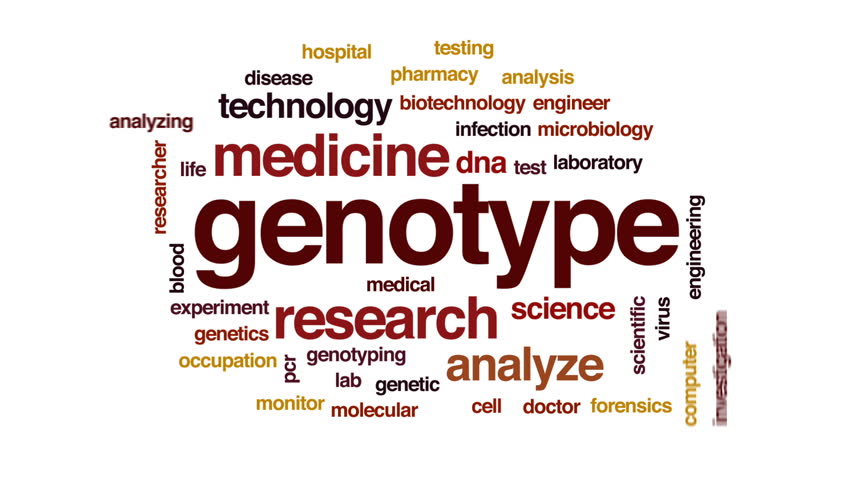 genotype-footage-page-2-stock-clips