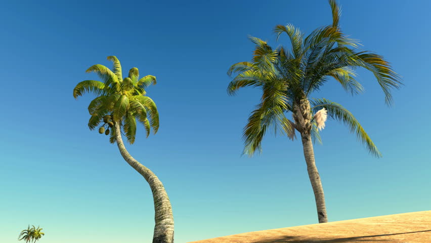 Desert island and palm trees
