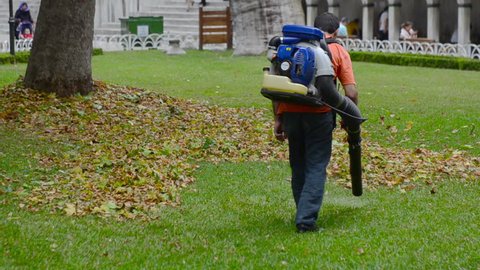 janitor is cleaning the fallen leaves in the park
