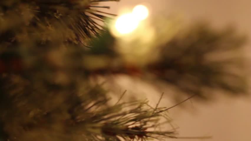 Small ornament on a christmas tree