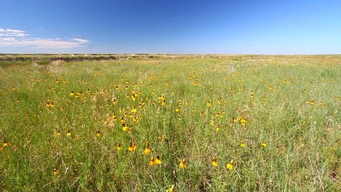 Buffalo Gap National Grassland in South Dakota