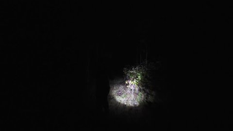 Chasing girl through the woods at night.	Stalker or killer runs after terrified woman in dark forest. Moving through scary wooded area lit only with flashlight after victim.