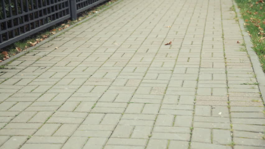 tourist in the hat finds your hotel on the map