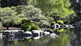 Japanese garden of Denver Botanic Gardens at Denver, Colorado, United States