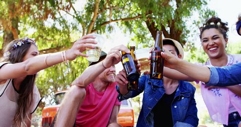 Happy friends toasting beer bottles in the park on a sunny day 4k Stock video