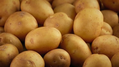 Golden Potatoes Pile Rotating