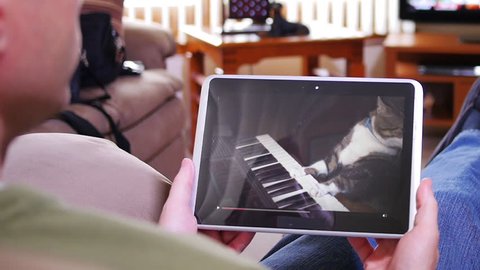 A man holding a tablet PC watches a viral video of a funny cat playing a keyboard or electric organ.	 	