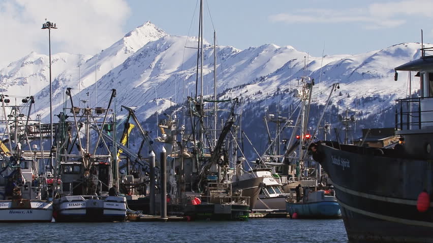 HOMER, AK - CIRCA 2012: A mid-sized to large tender/crab boat moves through and
