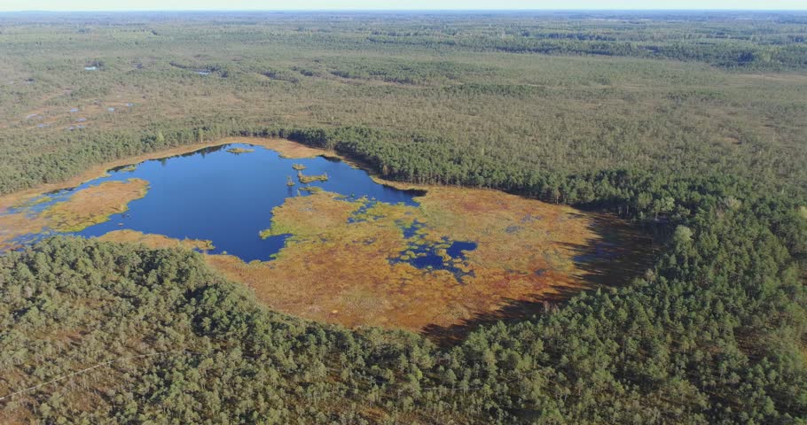 Aerial view of the wetlands swamp. Beautiful nature landscape.