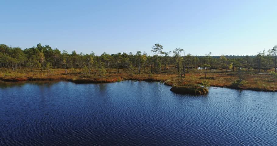 Aerial view of the wetlands swamp. Beautiful nature landscape.