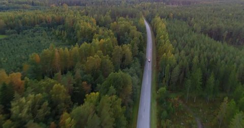Sky view of autumn road with cars. Aerial view country road in autumn forest. Autumn forest and highway road drone view. Autumn car road in forest top view. Aerial landscape. Tracking shot.