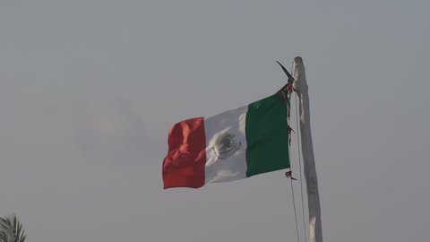 Anatomically Accurate Animation Turntable Human Pancreas Stock Footage ...