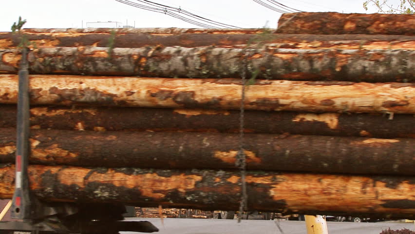 BRITISH COLUMBIA, CANADA - CIRCA 2012: Gantry Crane Grapple Loader and Logging