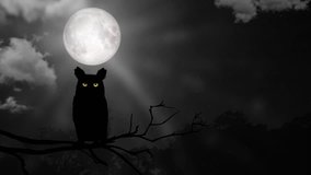 halloween night with angry owl 
