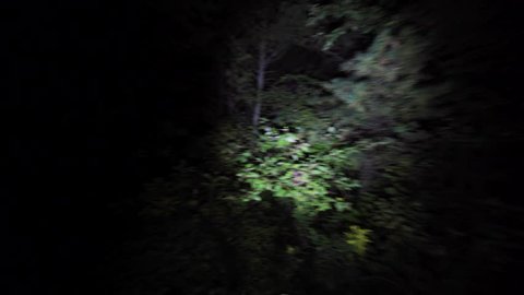 Wandering lost through the woods at night. Lost in the dark with only flashlight to light the way in scary forest on Halloween. Escaping in the bushes in the dead of night.