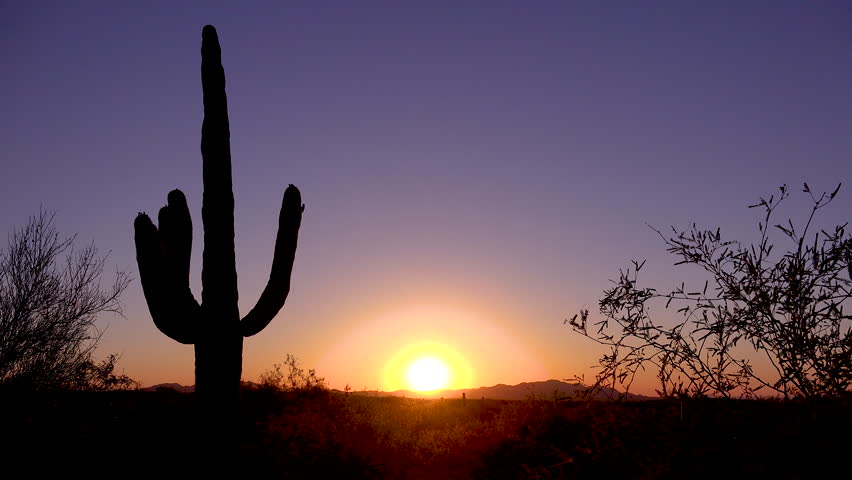 CIRCA 2010s - Saguaro National Park, Arizona - A beautiful sunset or sunrise behind cactus at Saguaro National Park perfectly captures the Arizona desert.