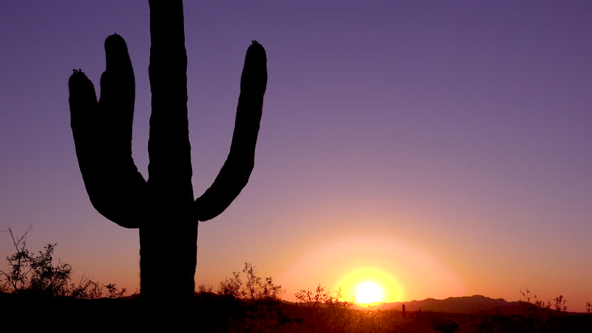 CIRCA 2010s - Saguaro National Park, Arizona - A beautiful sunset or sunrise behind cactus at Saguaro National Park perfectly captures the Arizona desert.