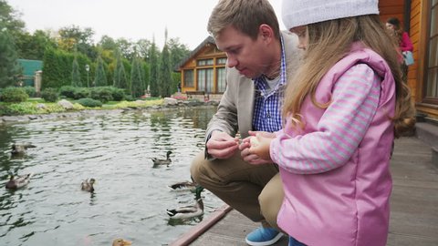 Feeding the ducks in the lake. Father and daughter are fed ducks in a city park by the lake