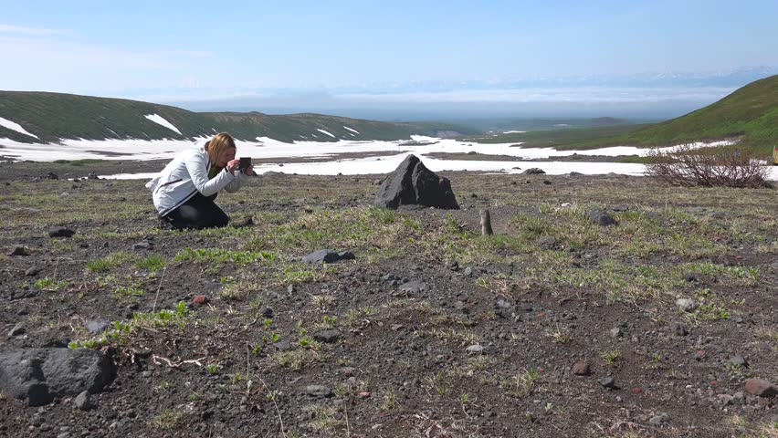 Journey to Kamchatka Peninsula. Gullible American field dogs. Valley of Koryaksky and Avachinsky volcanoes.