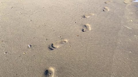 Footprints in Wet Beach Sand. Stock Footage Video (100% 1009561562 | Shutterstock