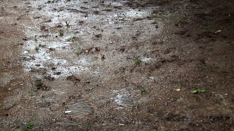 Mud and raining - focus on the ground
