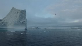 Arctic Iceberg on Arctic Ocean in Greenland