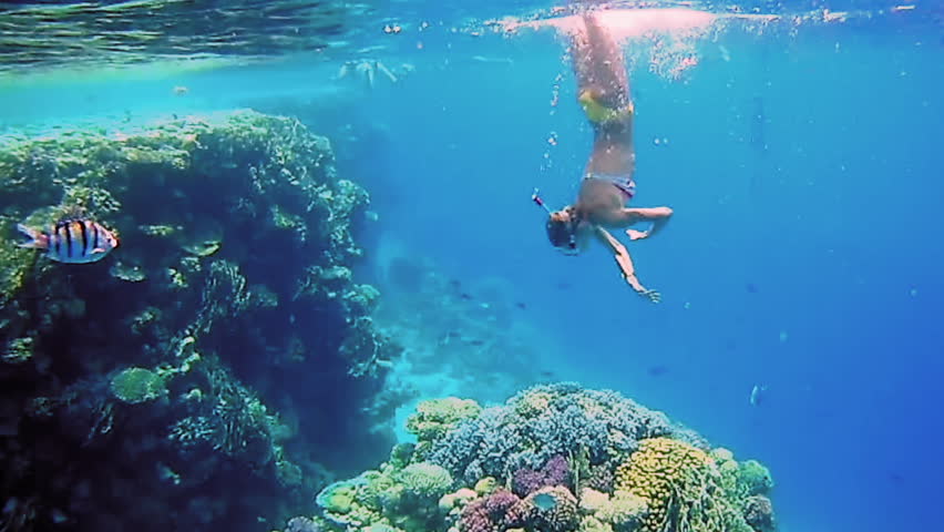 Beautiful Woman Dive Underwater in : video stock a tema (100 ...