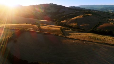 Moving Aerial Shot of the Harvested Fields, Trees and Hills. Grand Scale View with Beautiful Colors Lit by Setting Sun. Shot on Phantom 4K UHD Camera.
