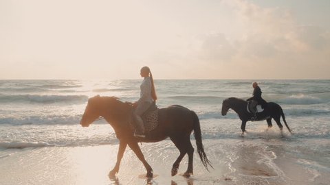 SLOW MOTION. View of women riding beautiful horses wading through the sea splashing water drops around in golden light sunset or sunrise. Stallion walking in ocean water