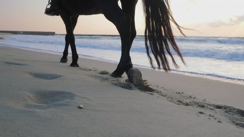 SLOW MOTION, CLOSE UP. Rear view of beautiful dark black horse with unrecognizable rider wading through the sea sandy beach. Stallion walking on seashore