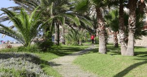 4k video. Front view of adult woman with red hoodie and black leggings, or knee pants, running on wooden footbridge, in park of beach in Benalmadena, Malaga, Andalusia, Spain
