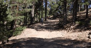 4k video. Brunette sport woman with white shirt grey trousers walking or hiking or trekking on rural path in Navacerrada mountain, in Guadarrama Natural Park, Madrid, Spain 

