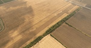 Aerial drone video of the harvesting machine in the field. The tractor plowing a field. Top view of many tractors working at the field.