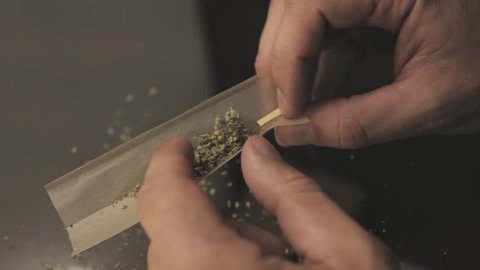 Male hands making joint blunt close-up, rolling medical weed into cigarette paper, drug addiction
