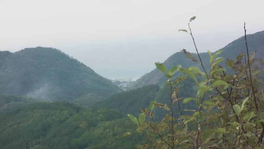 mountins with forest