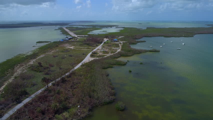 Florida Keys nature landscape green