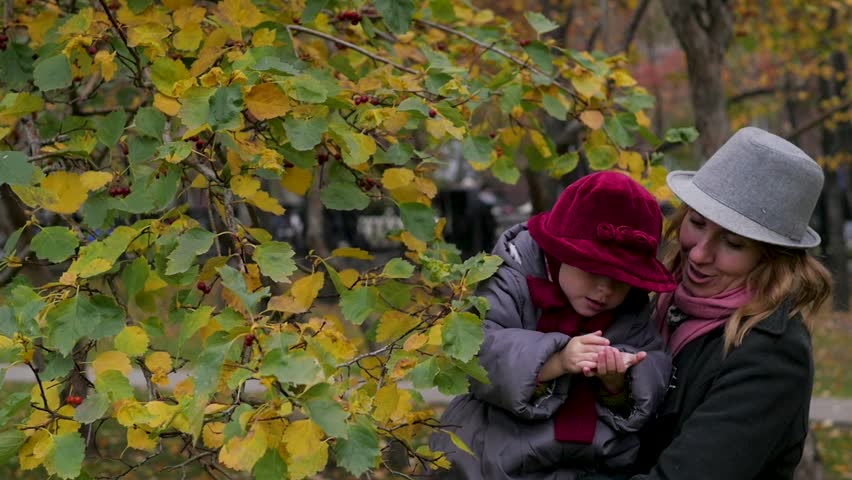 Mom and daughters playing in the park, mom showing daughters leaves on a tree. environmental studies