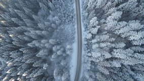 Cars on winter road in forest, aerial video in 4K.