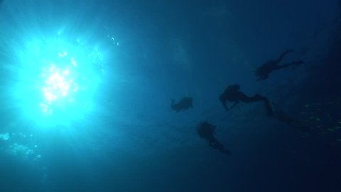 scuba divers ascending surface  with sun beams and rays underwater ocean scenery