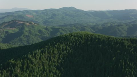 Oregon circa-2017, Aerial view of forest in Oregon Coast Range. Shot with Cineflex and RED Epic-W Helium.