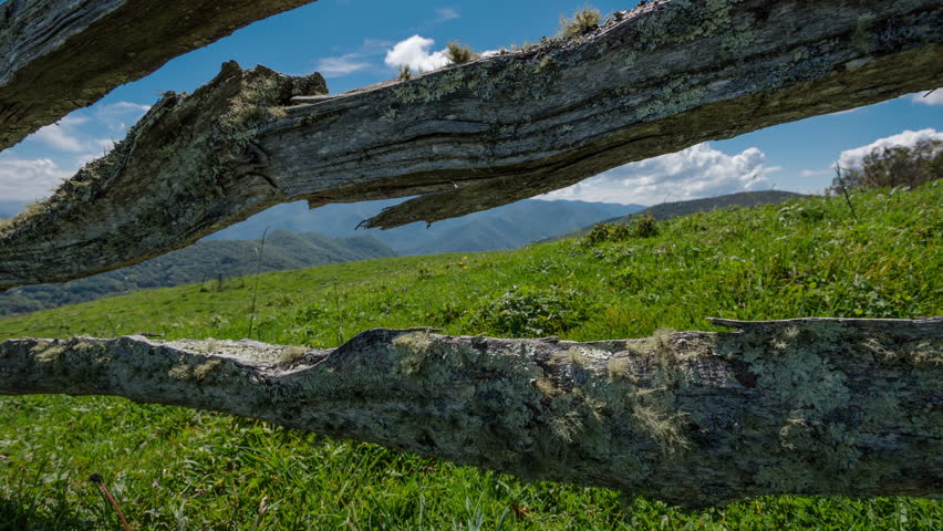 TL BRP Hemphill Bald Moss on Fence Looking Over Grassy Bald