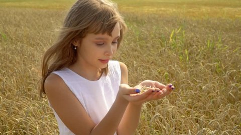 The girl blows off from wheat seed palms in the field. The beautiful fair-haired girl smiles sitting on ears of the Russian field. Cute little girl in the wheat harvest field - in touch with nature