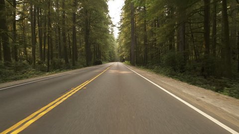 Redwood National Park Driving Template California USA 02