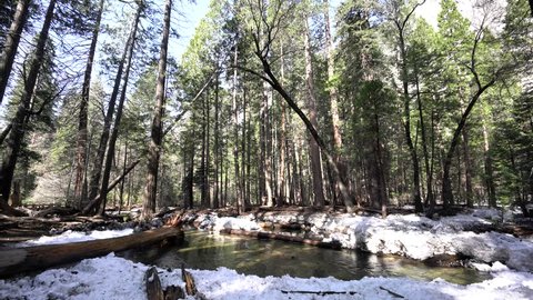 Merced river with snow and forest at Yosemite National Park, California, USA