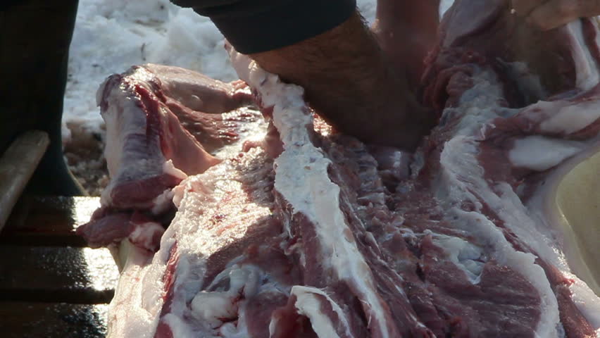 Pig butchered in a traditional way, on a small farm