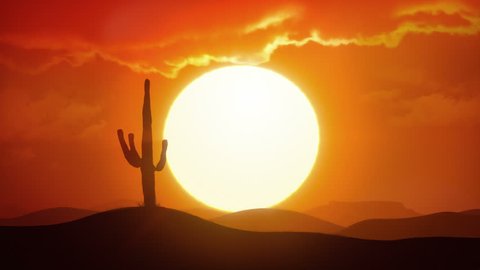 Time lapse of big sunrise over desert with silhouette of lone cactus in foreground