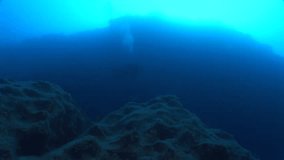 scuba divers underwater wall underwater scenery
