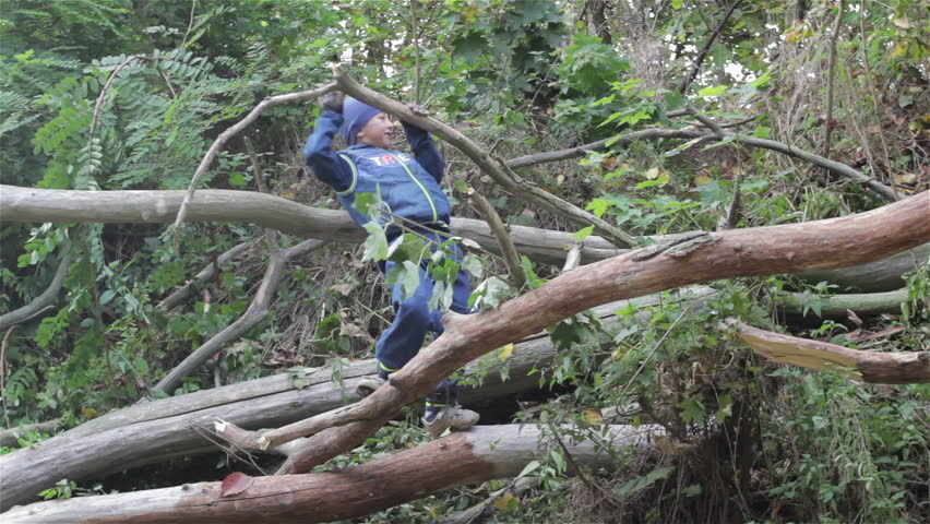 fallen tree boy/The boy is playing on a fallen tree in the woods
