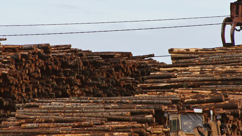 TACOMA, WA - CIRCA 2012: Quick zoom out from log deck and grapple to street