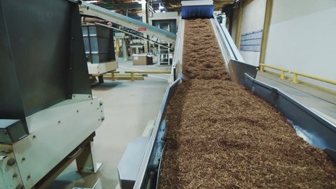 Tobacco drying process, cigarette manufacturing